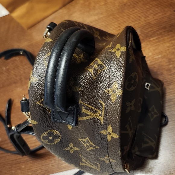 LOUIS VUITTON Palm Springs Mini Backpack - Picture 10 of 12